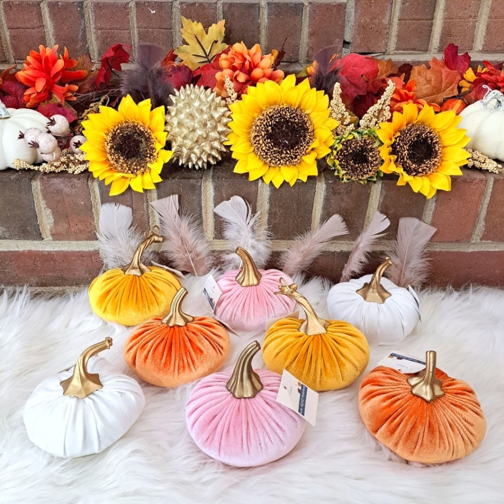 🩷🧡💛🤍 {8} Swanky Plush Colorful Velvet Pumpkins NWT